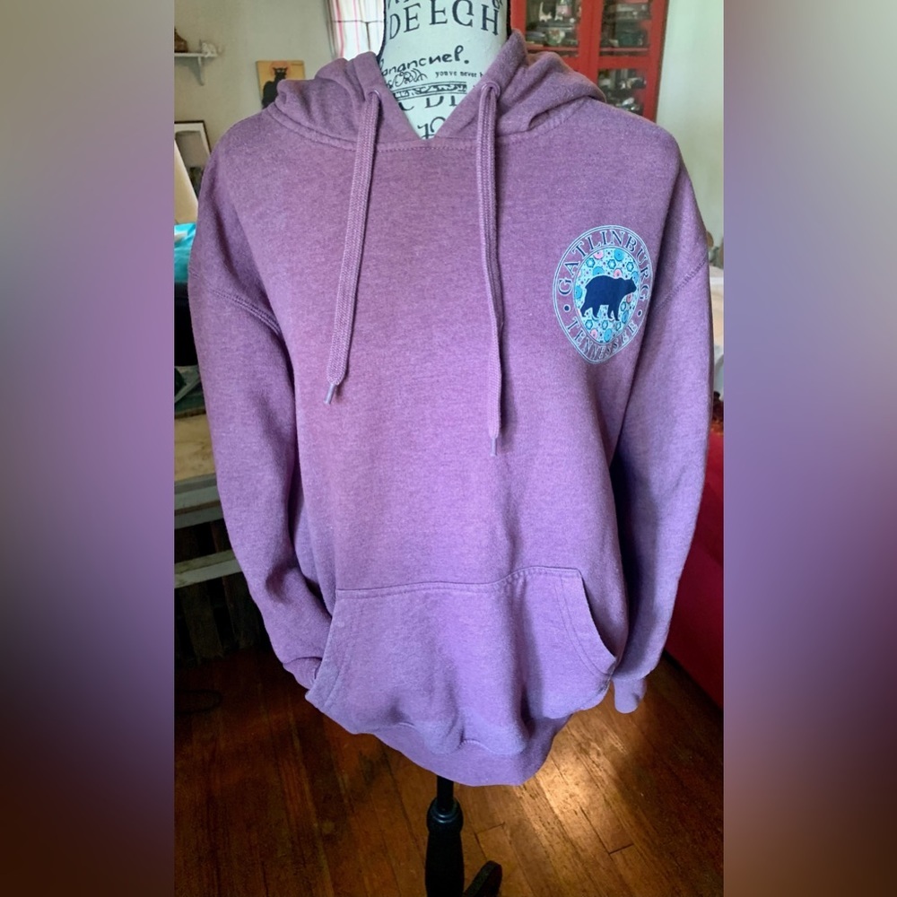 Gatlinburg, TN Bear Hoodie
